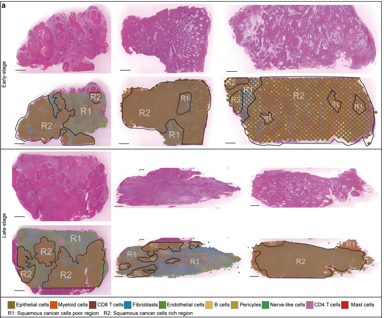 d8747aa82b9e551fd7cf16c9c8731e74