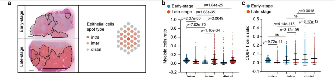 1494e757acb95880068d837db9a6be80