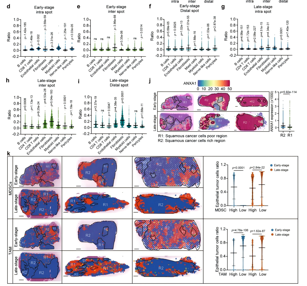 9116175994d57076200f460979ef6ca0