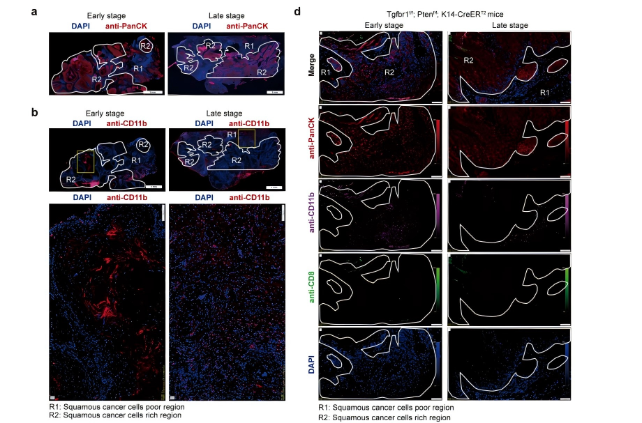 a32090a2bfb34d8385e74e1ed56838ba