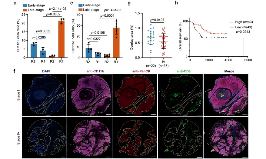 44a7c9fd634756717b89947e393dd9cb