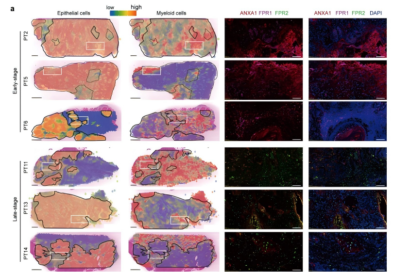 ca0f6881a4f1ab181ffd6ddf46dff815