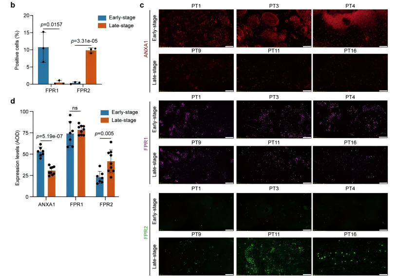 20c51000bb18aa6eb013e6bdbe9afad0