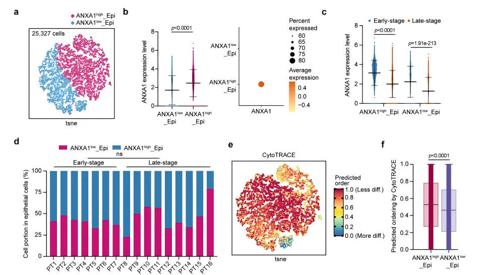 3f34f1b361781a7010bcb29c803a54f3