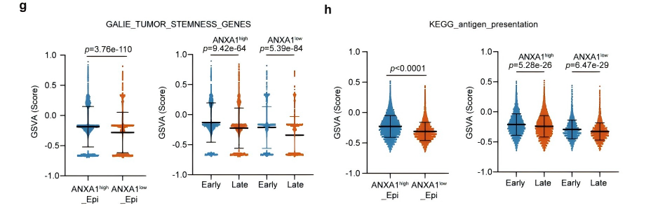 6c5262ecdce20acf04d1ca681f9979eb