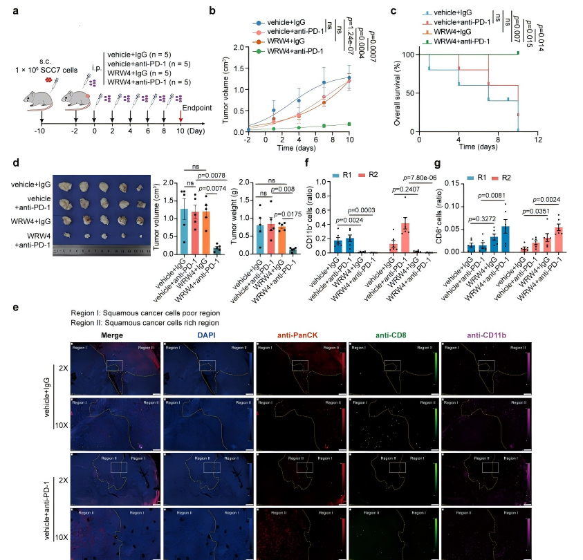 fba33506f0f016b408b899833f008858