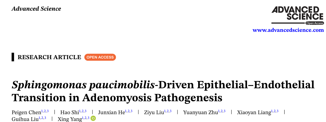 8ea72650f728f2f665666ee79b3743e5