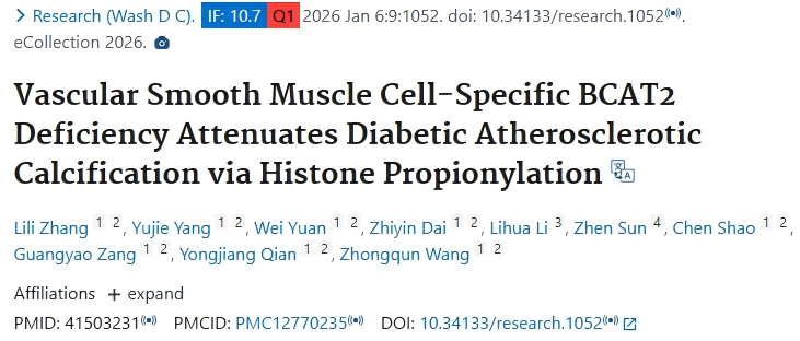 8532a60b6caaa3a0245b7b237fd9c931