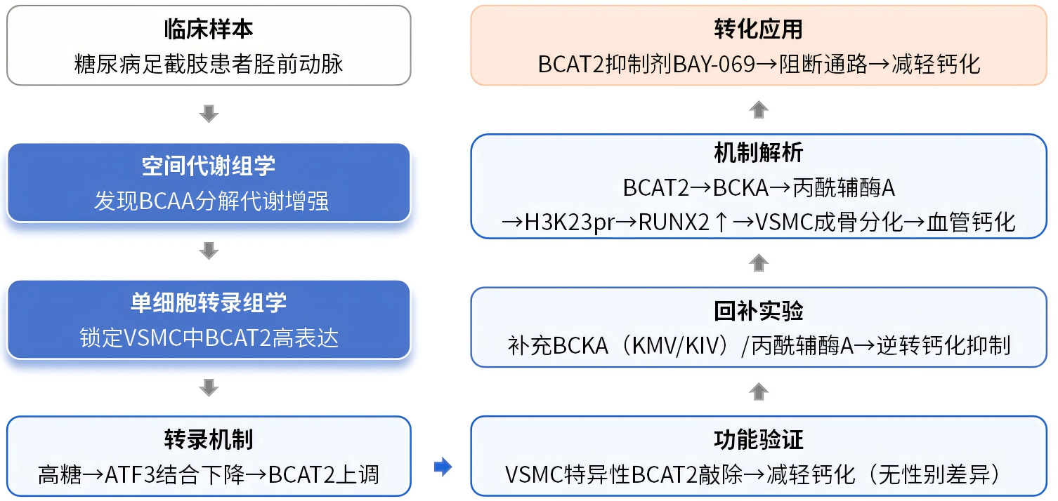 44500a21ec8bdb0f9a3e9e20a5f31c79