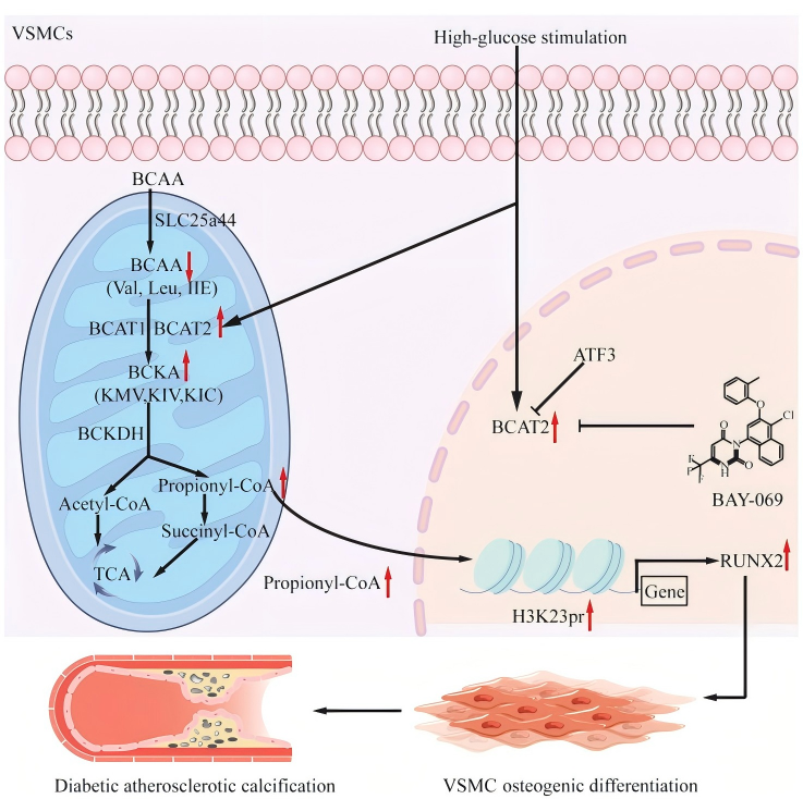 ed565254f66f5e1a68b27ce5e5f7844f